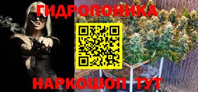 spice Донецк