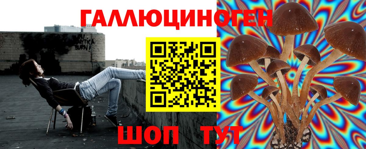 Галлюциногенные грибы ЛСД  Вход с VPN  Псилоцибиновые грибы GOLDEN TEACHER  Камень-на-Оби 